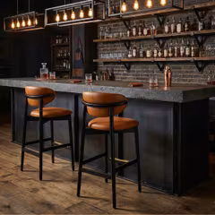 Ruby Modern Black Finish Wood Restaurant Bar Stool