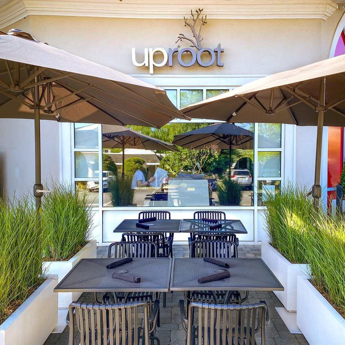 Stackable Indoor/Outdoor Arm Resin Chair With Striped Seat and Back in Black