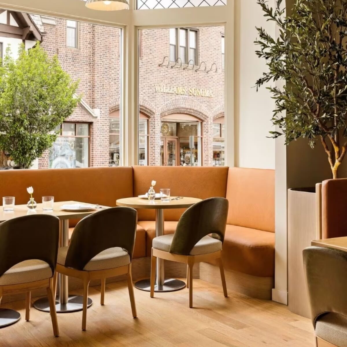 Lily Modern Wood Restaurant Chair in Natural Finish
