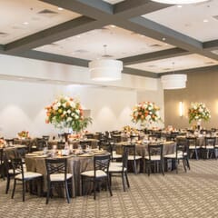 Stackable Black Metal X-Back Commercial Chair with Upholstered Seat