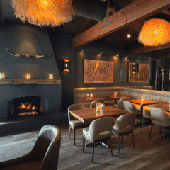 Lily Modern Wood Restaurant Chair in Walnut Finish