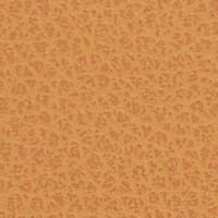 Canyon Pumpkin upholstery swatch