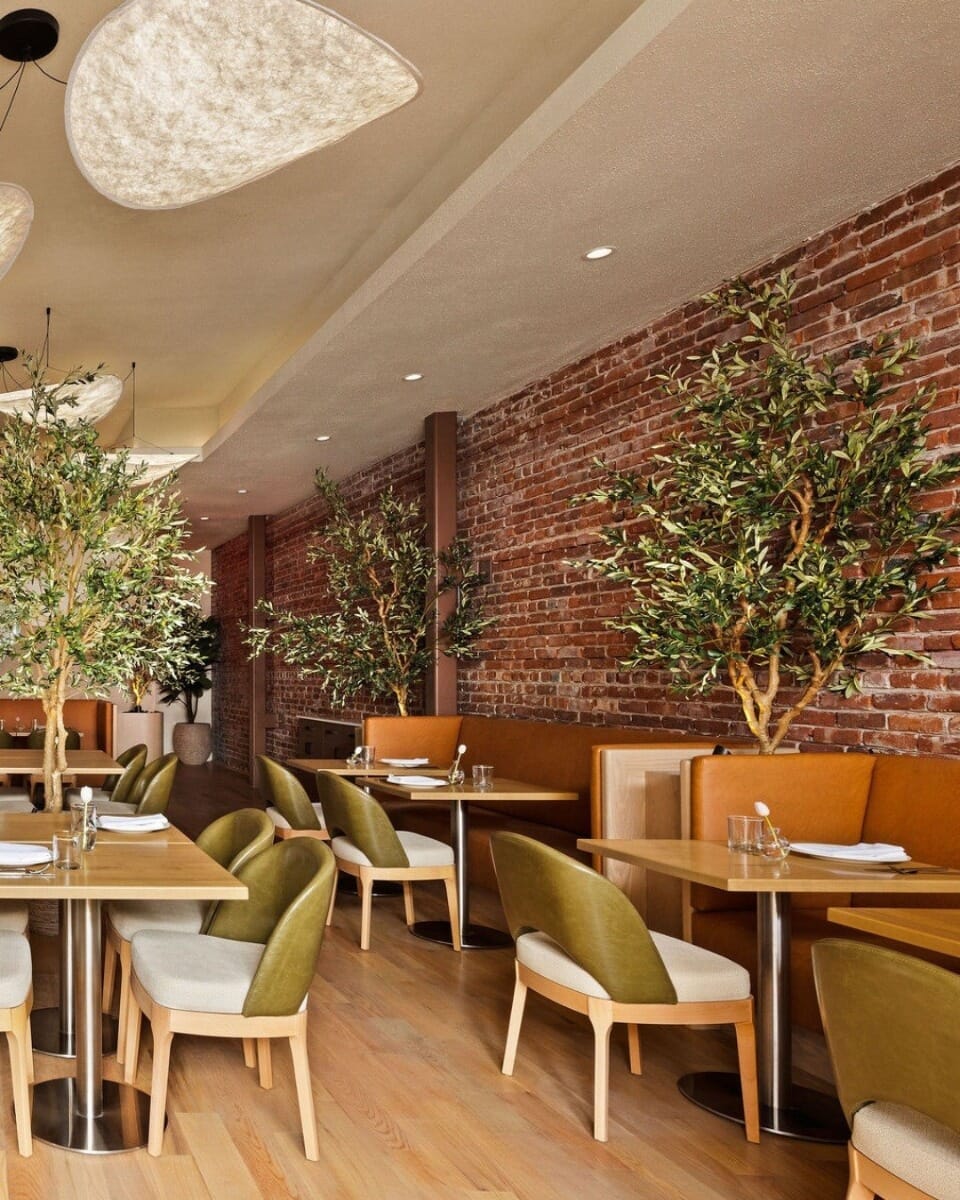 Clementina Italian restaurant interior with exposed brick columns, olive trees, sculptural pendant lighting, maple restaurant tables, stainless steel bases, and natural wood restaurant chairs.
