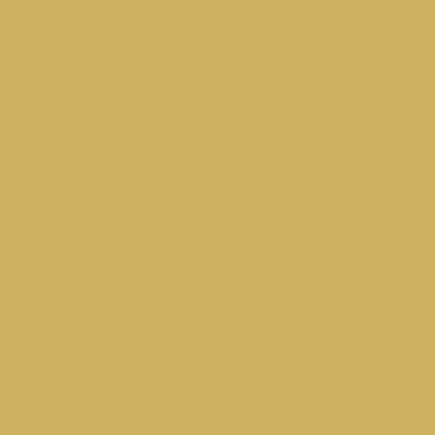 Gold powder coated table base finish swatch