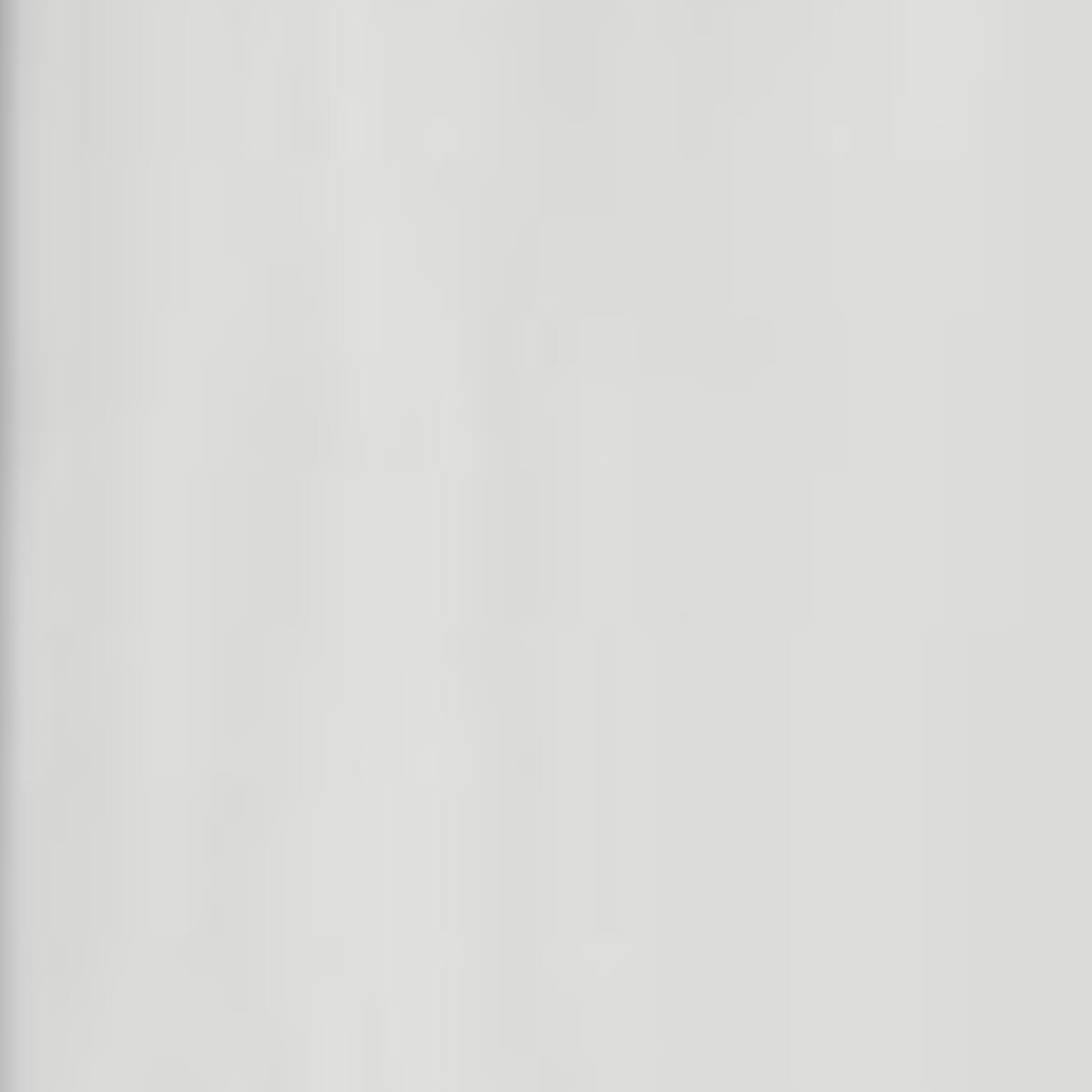 Brushed stainless steel swatch