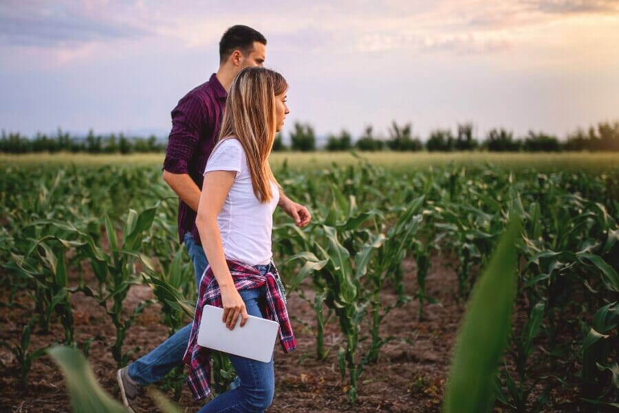 Restaurant owner visiting a local farm, inspecting fresh produce in a cornfield with a digital tablet to explore new sourcing options and strengthen farm-to-table supply chains.